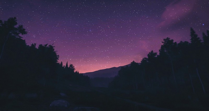 Какие музыканты используют NFT?